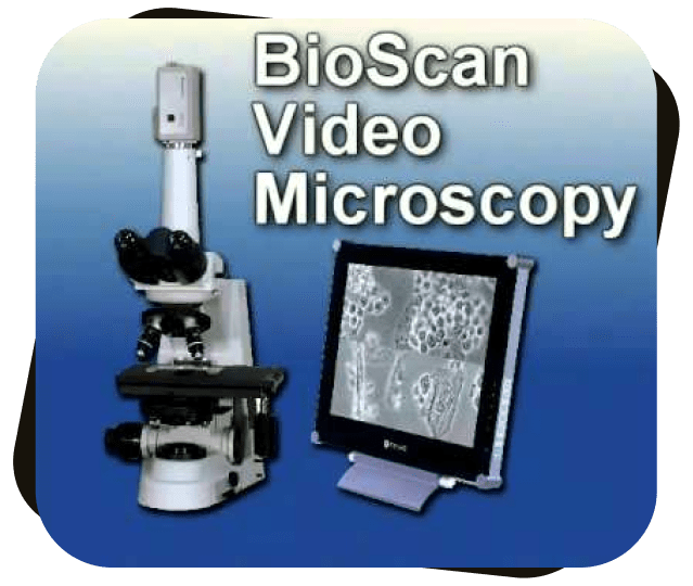Bio Scan Video Microscopy at Dr. Jay Family Dental